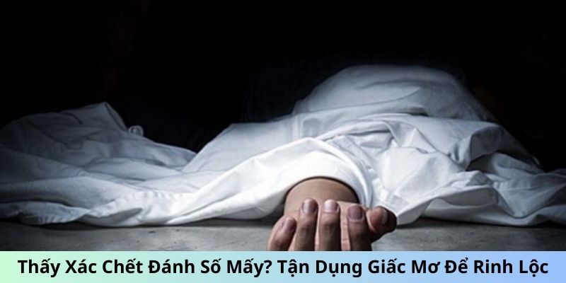 Thấy xác chết đánh số mấy